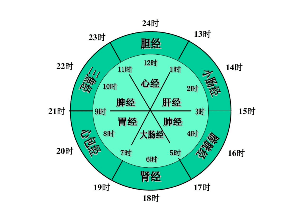 三焦经的循行路线图图片