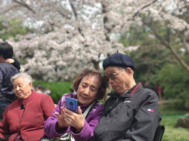 原创单身退休老人再婚一定要做好这5点否则你的晚年生活很难幸福