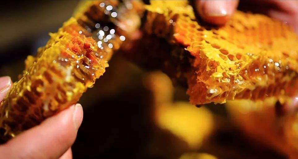 法老会在自己身边的奴隶身上倒上蜂蜜,这样蚊子就会叮咬奴隶,从而达到