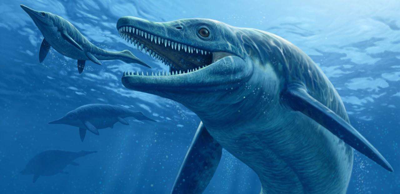 原创考古学家在海底发现巨型化石它们复原的模样揭示远古海洋之谜