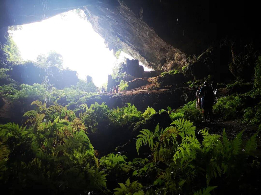 等一个人陪我去韶关罗坑