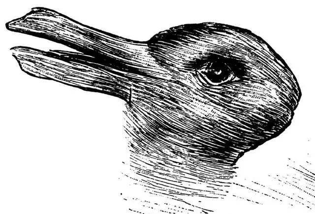 著名的鸭兔图,想必都不陌生吧很多inker应该都做过这一类的心理测试接