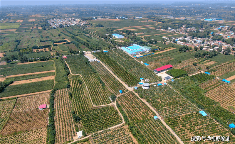 孟津县常袋镇:软籽石榴助农增产增收 成致富"黄金果"_发展