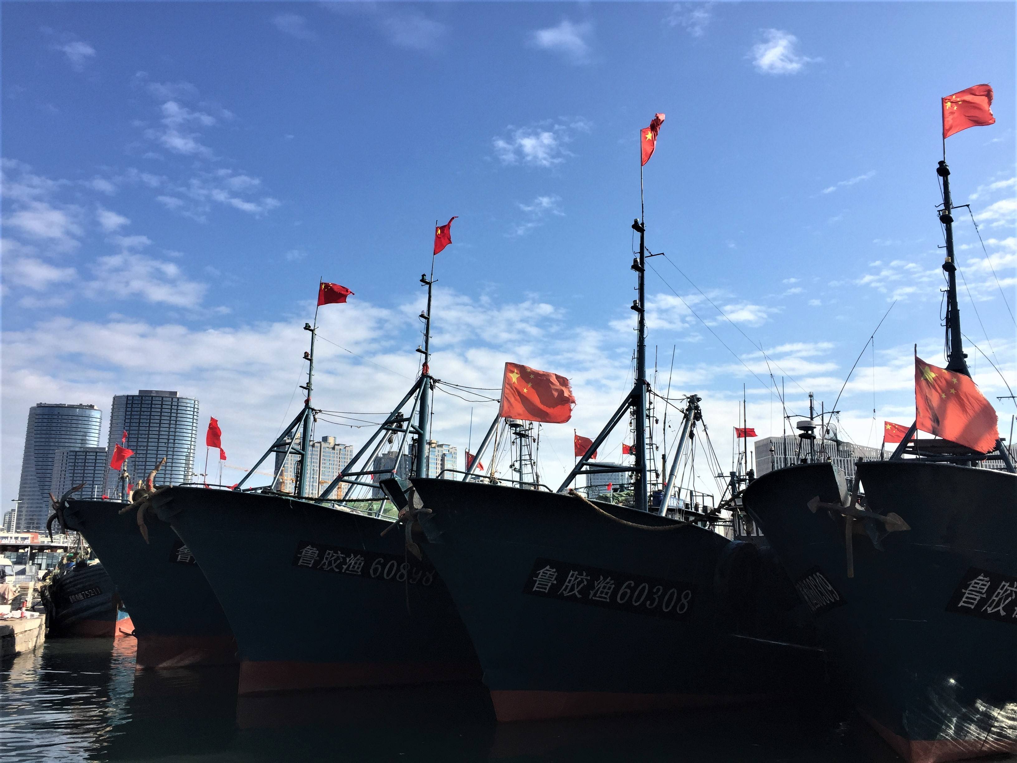 青岛开海季,积米崖码头海鲜上岸啦,大虾螃蟹