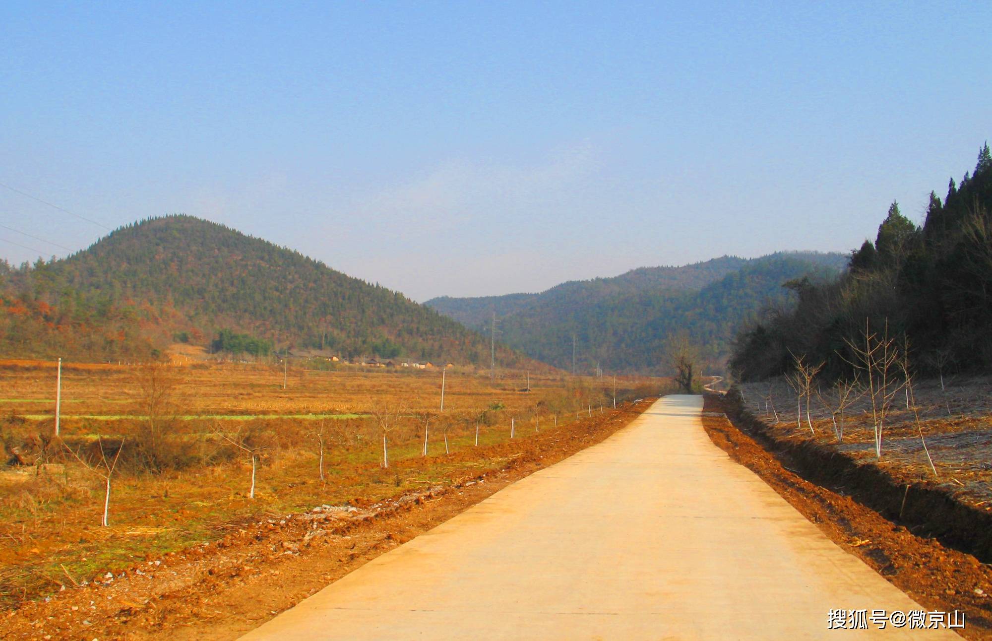 微京山 09-10 11:22 订阅 从事新闻工作多年,我无数次往返于京山杨 
