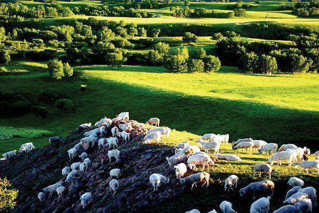 华北"最大"的森林公园,被称"华北绿宝石",距北京460公里