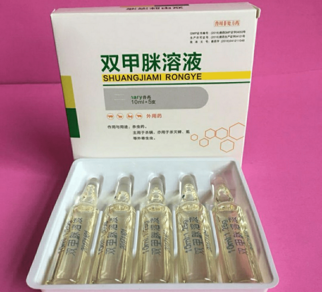 狗狗双甲脒中毒没有解药宠物主人使用的时候一定不要犯这些错误