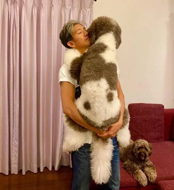 原创50岁工藤静香终究老了!素颜出镜斜刘海显老气,年轻美貌真少见