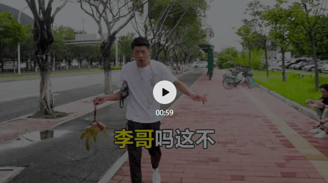 "街溜子"李会长王小源疯狂的小杨哥其受众群体多为三四线及以下的下沉