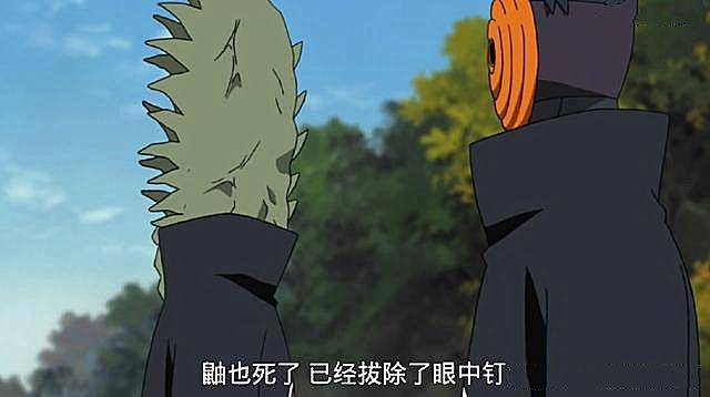 晓组织组合名称,力量组合是鬼鲛和鼬,艺术组合则是迪达拉与蝎_佩恩