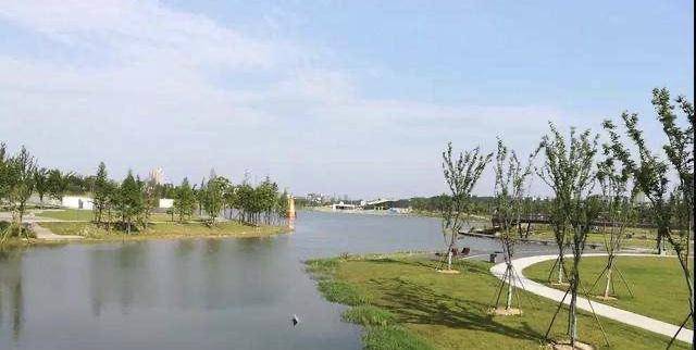原创成都新晋小森林天然氧吧景美人少很多本地人都不知道