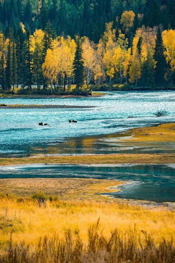 最美风景在路上金秋好时节新疆自驾游前景可期