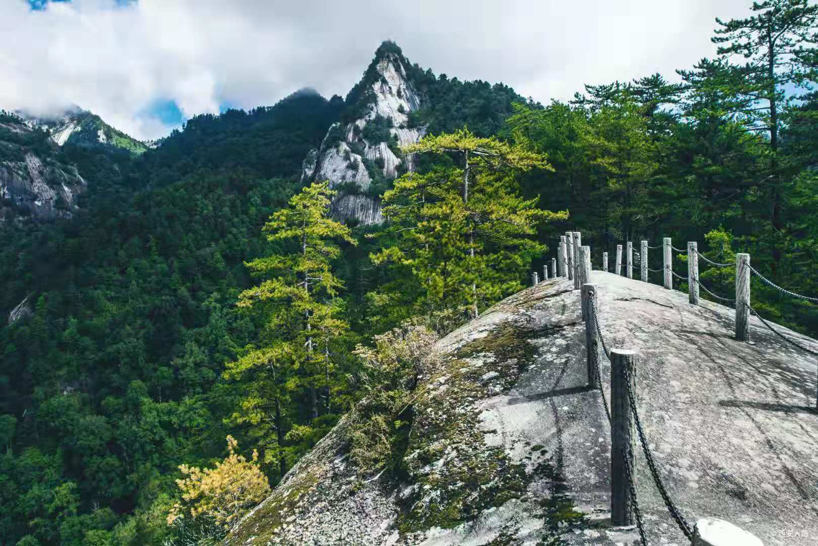 国庆2020陕西镇安木王登高节暨板栗采摘美食节将启动亮点抢先看