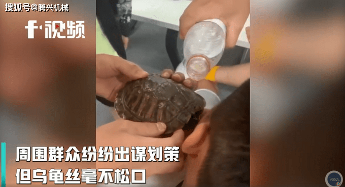 网友:看着都疼啊_鱼缸