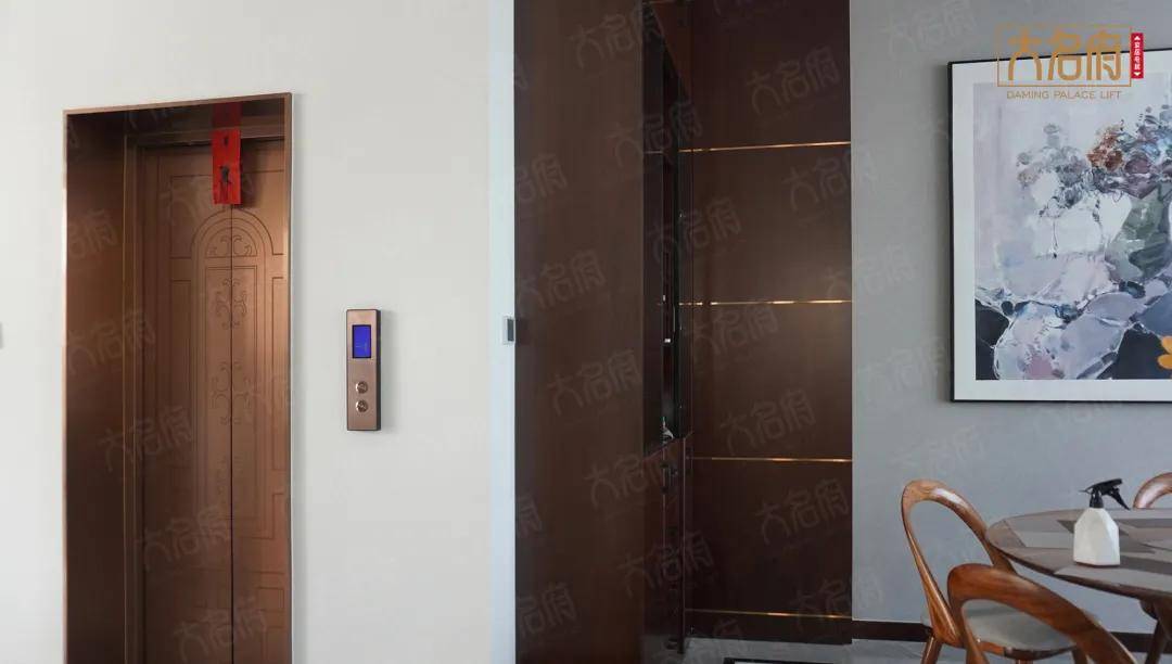 电梯选择了大名府现代风别墅电梯c01,轿门采用了深古铜哑光抗指纹材质