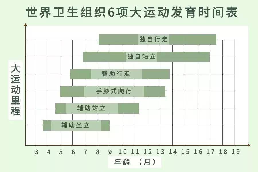 又如繪畫,寫字等精細運動,都需要豎頭,坐等粗大運動的完善才能完成.