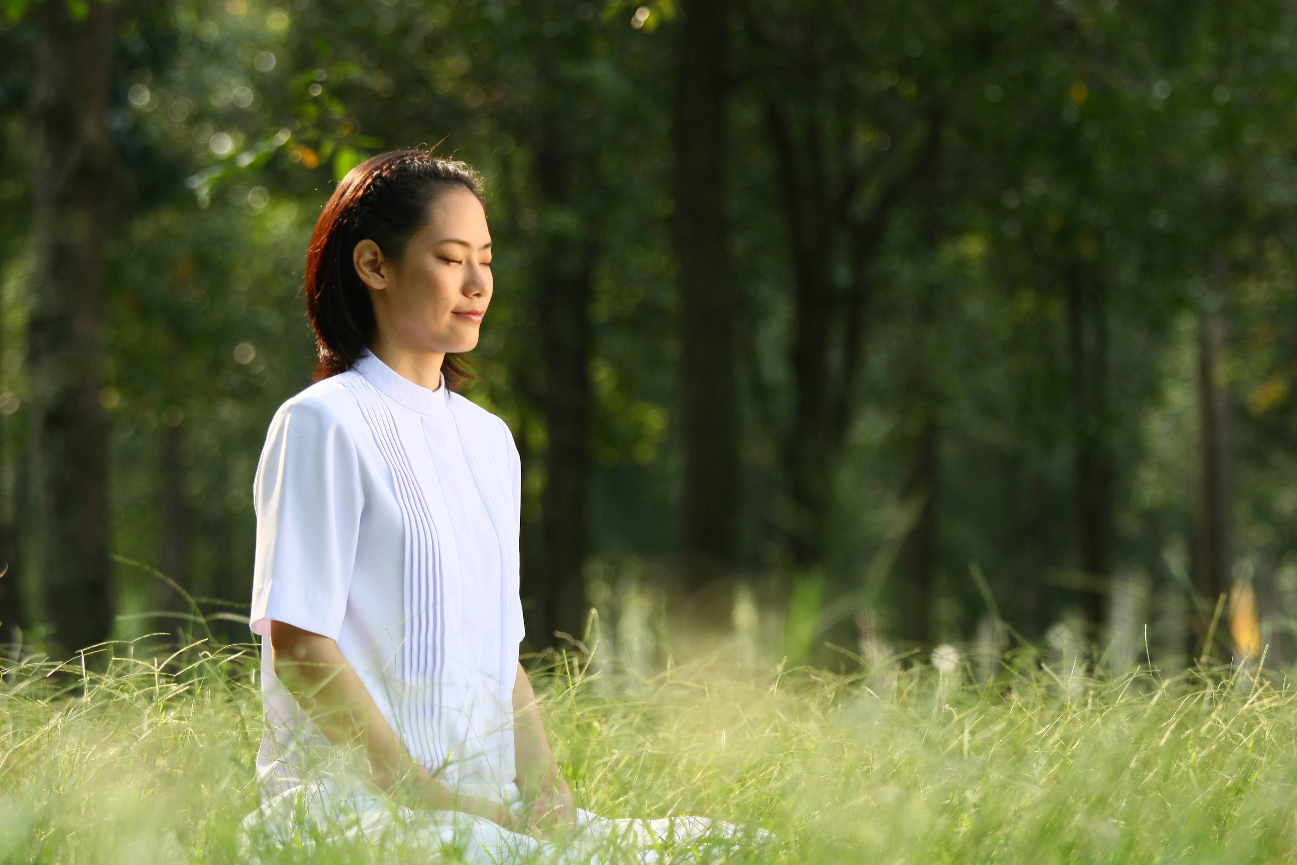 静心快乐密码,最简单的专业静心练习:42天内容设计,每天30分钟,通过