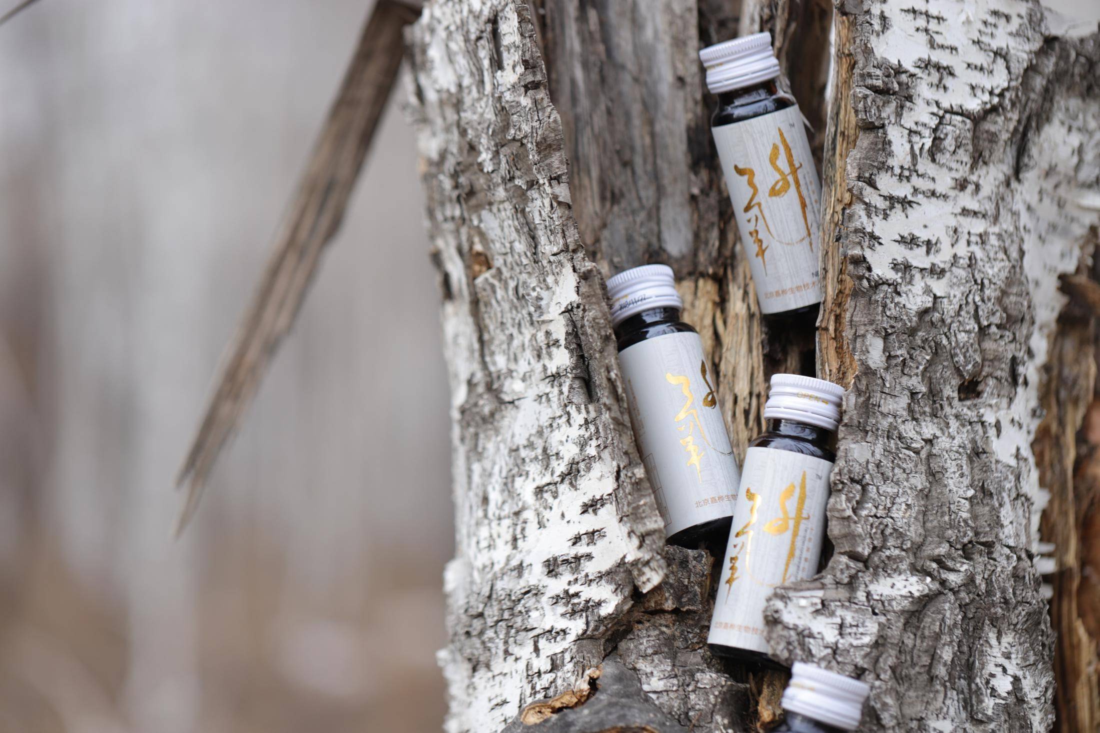 菁桦生物桦树汁一种冬去春来的味道