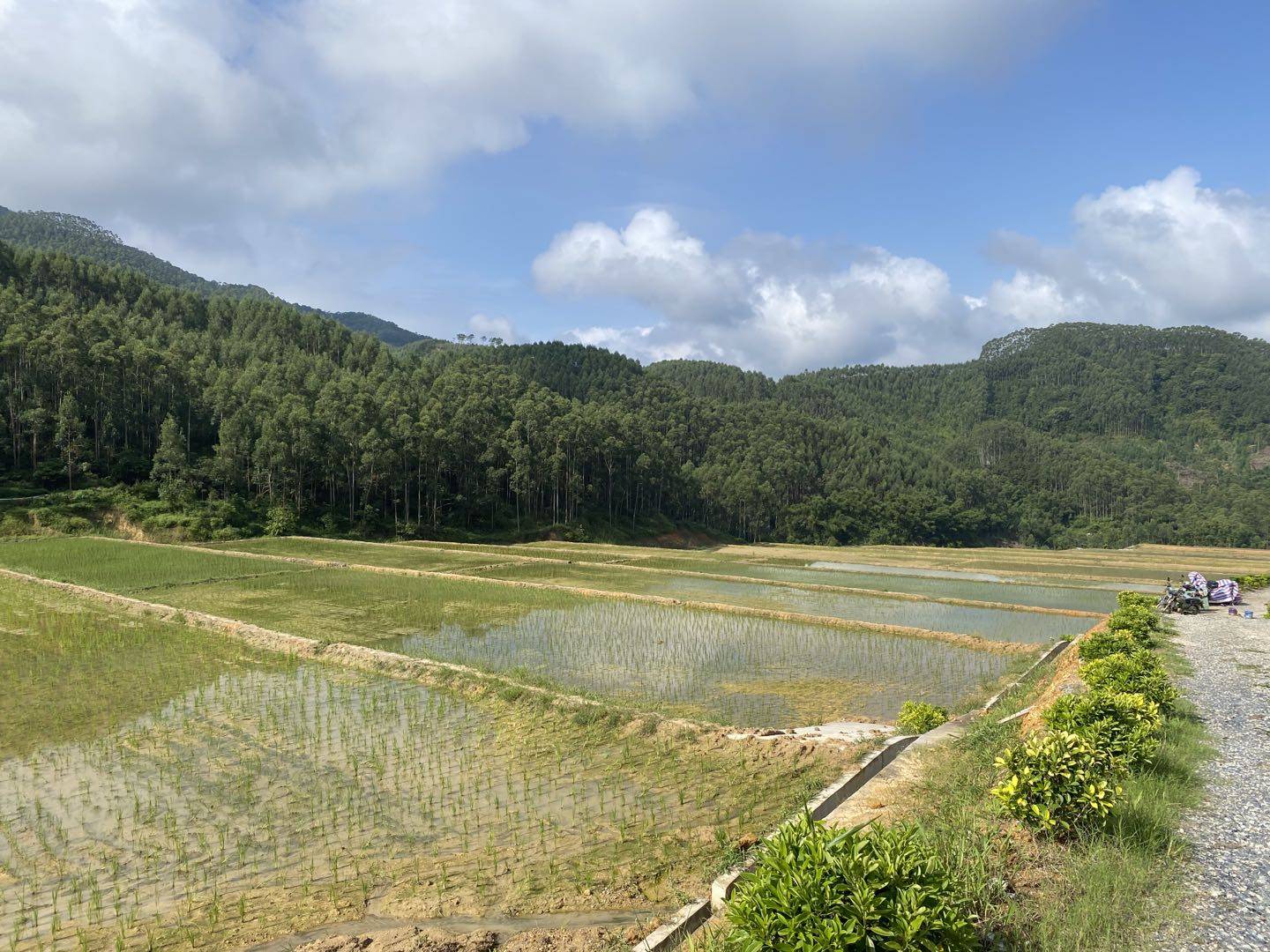 建设美丽乡村——垦造水田篇(九十二)