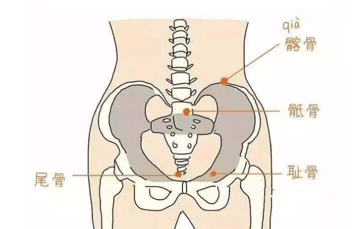 盆腔炎压痛点图片图片