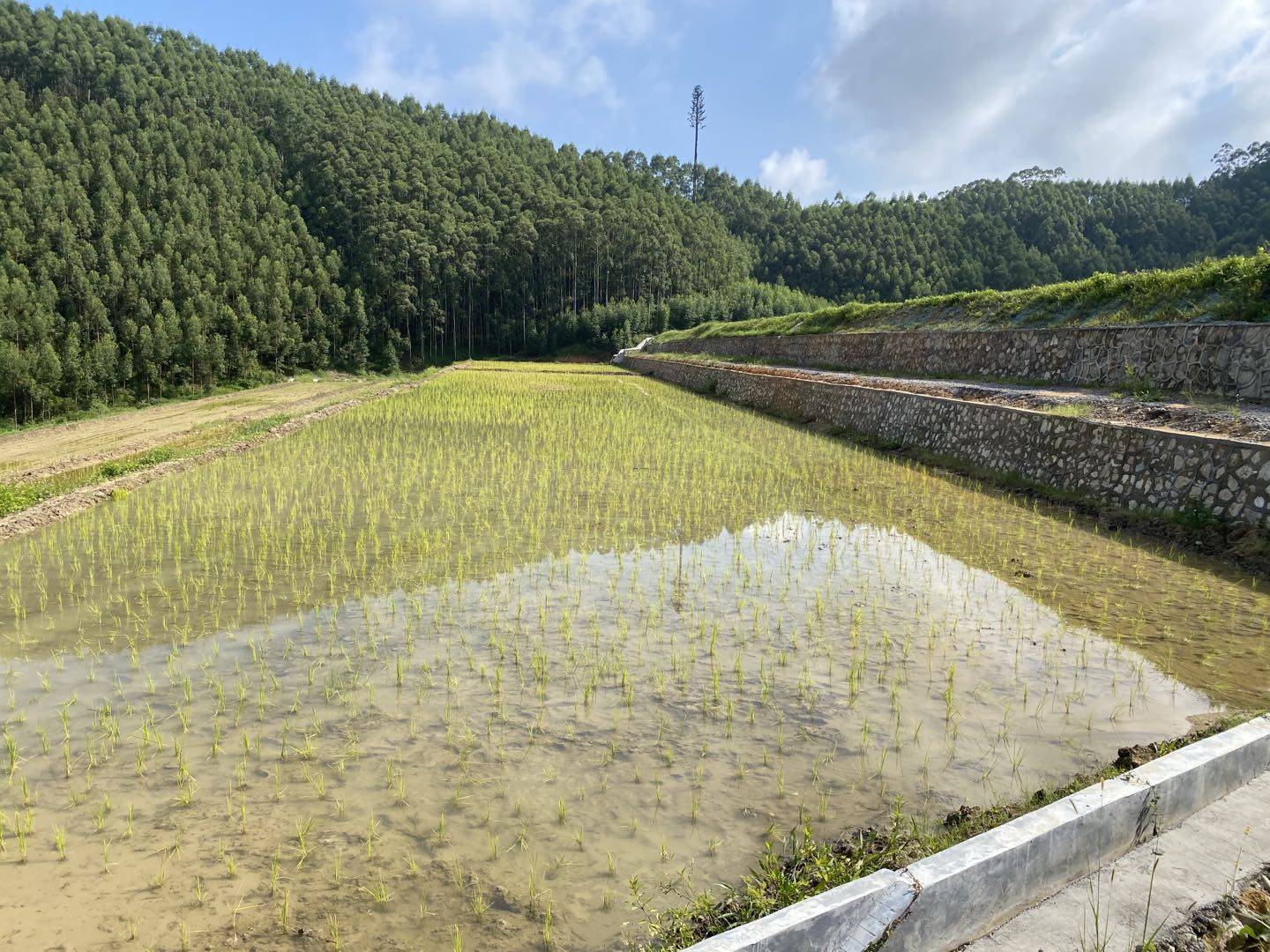 建设美丽乡村—垦造水田篇(九十二)