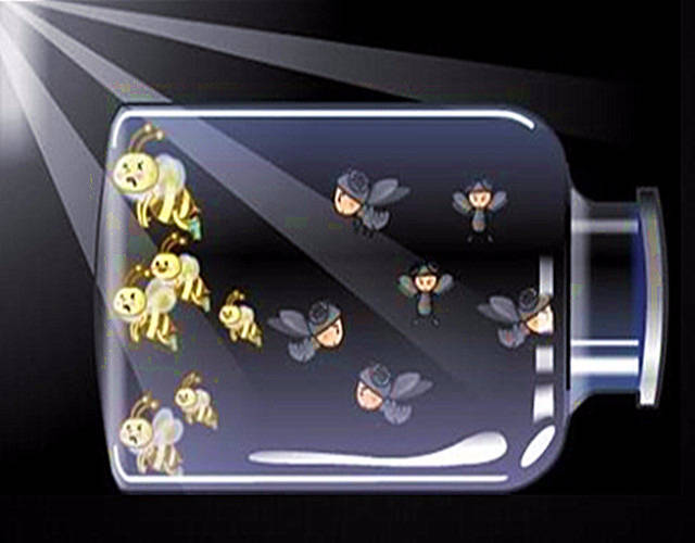 美国康奈尔大学著名生物学教授威克,曾经用蜜蜂和苍蝇做过一个寓意