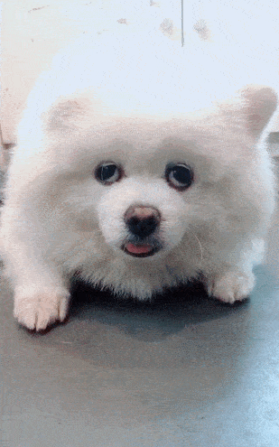 309_495竖版 竖屏gif 动态图 动图