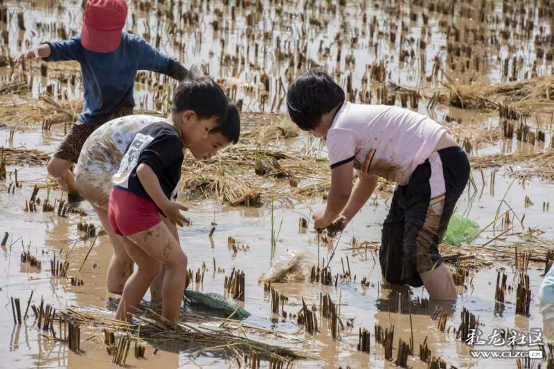 十月哪里玩寻甸渔乐谷摸鱼玩到嗨
