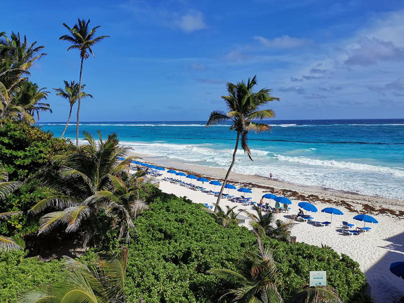 巴巴多斯岛转悠10天,珊瑚沙滩上享受加勒比海灿烂阳光