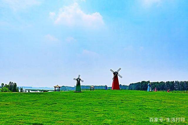 年接待游客量5万余人次的聊城位山湿地公园到底有多美