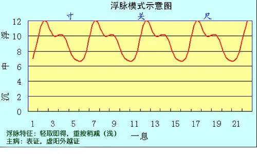 浮弦脉图片