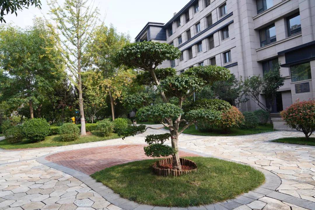 阳光东尚:愿你的生活,处处充满阳光