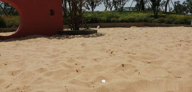 焦作多了1个儿童游乐场所,天河公园新增1处大沙坑,有空去玩_手机搜狐