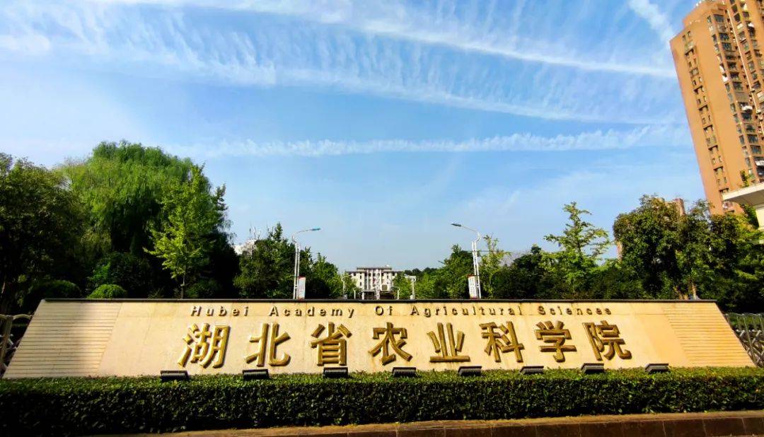 小天一行来到武汉南湖,走进了绿树荫浓的湖北省农业科学院