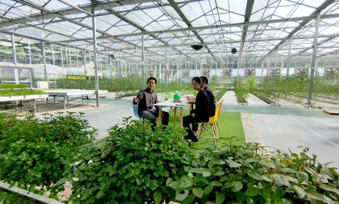 实拍湖北省农科院健康蔬菜创新工场_手机搜狐网