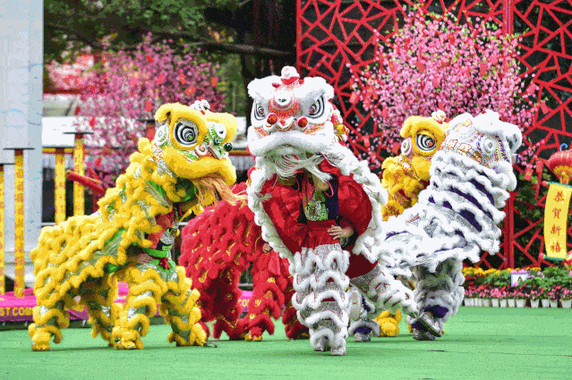 639_425gif 动态图 动图