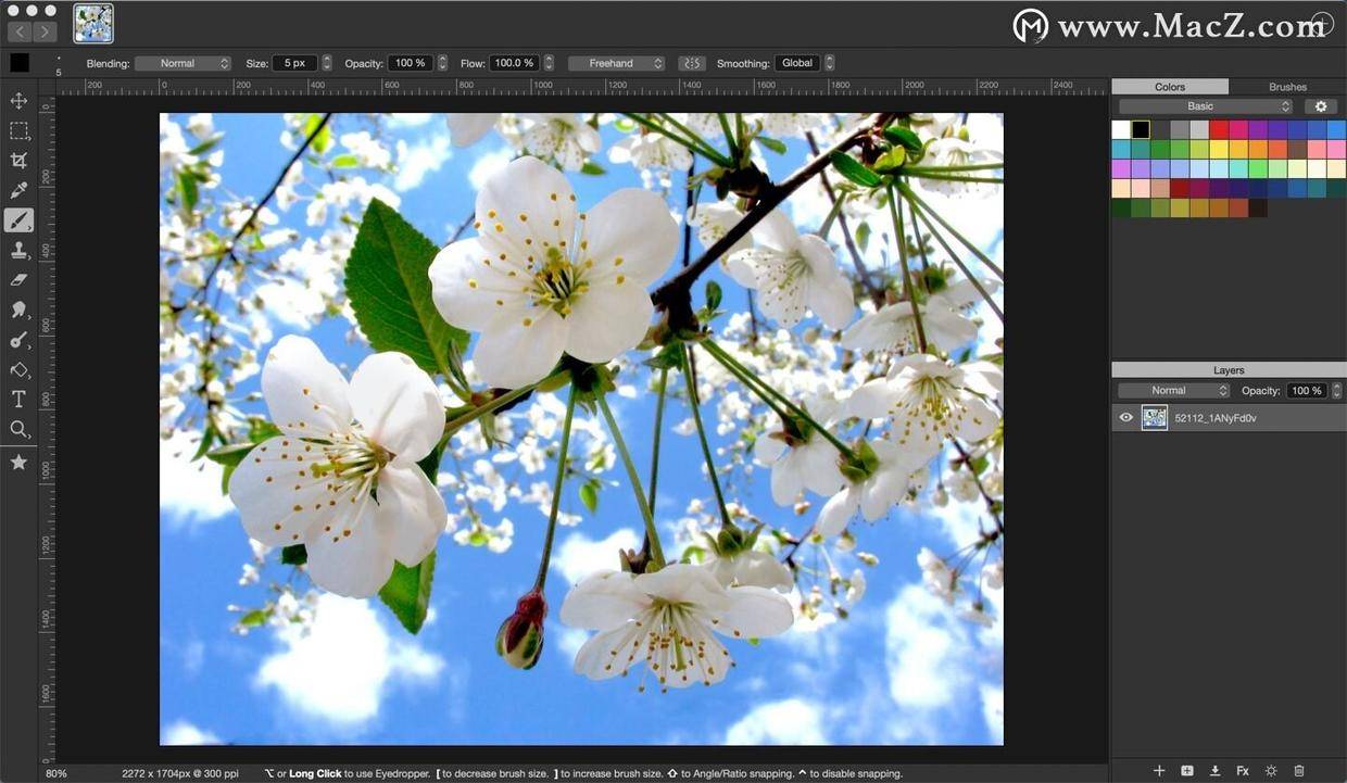 artstudio pro 适用于macos和ios的最强大的绘画和照片编辑应用程序.