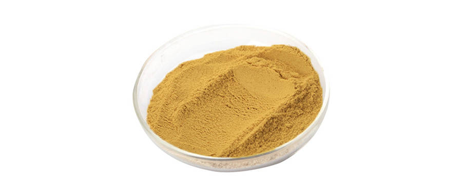 蛹虫草提取物都提取的什么?提取物中的主要成分