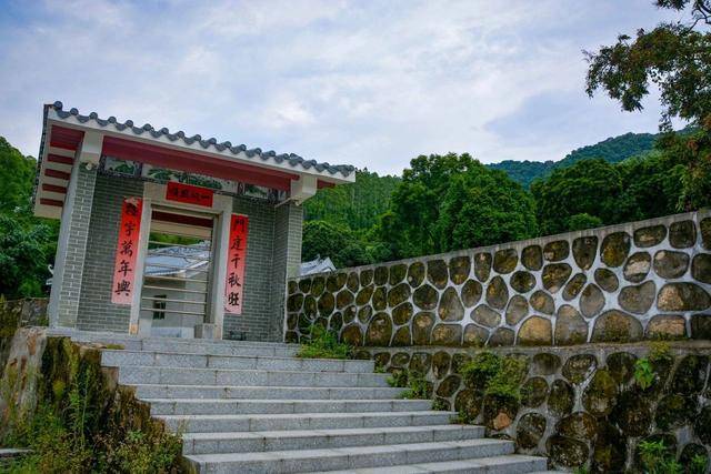 增城的小楼邓山:千亩百年乌榄树,梯田美景乡居乐