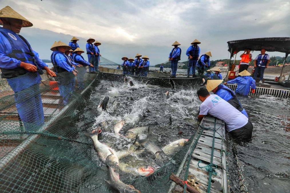 信阳南湾湖第八届开渔节精彩回顾