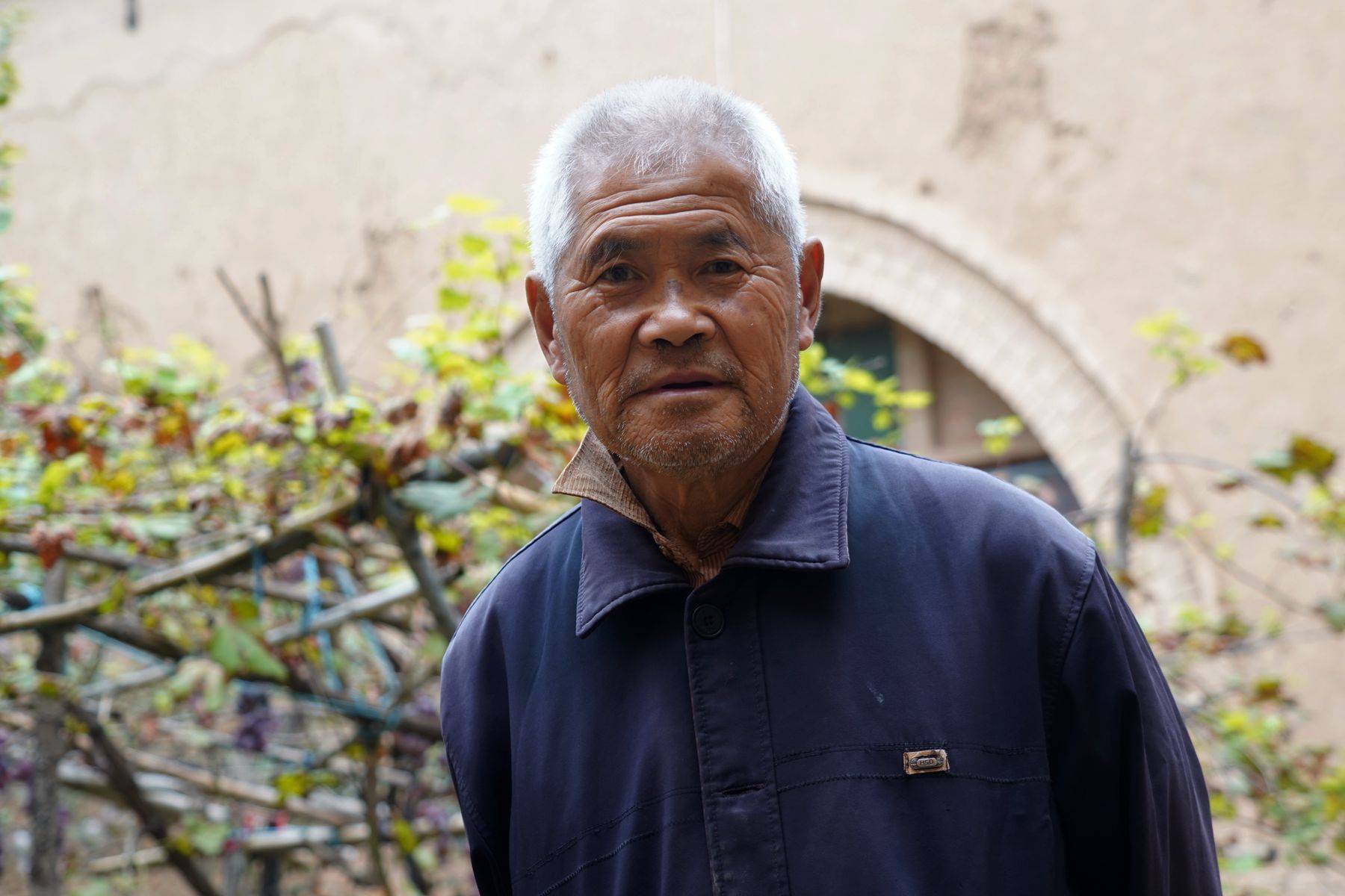 农村无人居住的地窨院7旬大叔20万也不卖村民说他有眼光