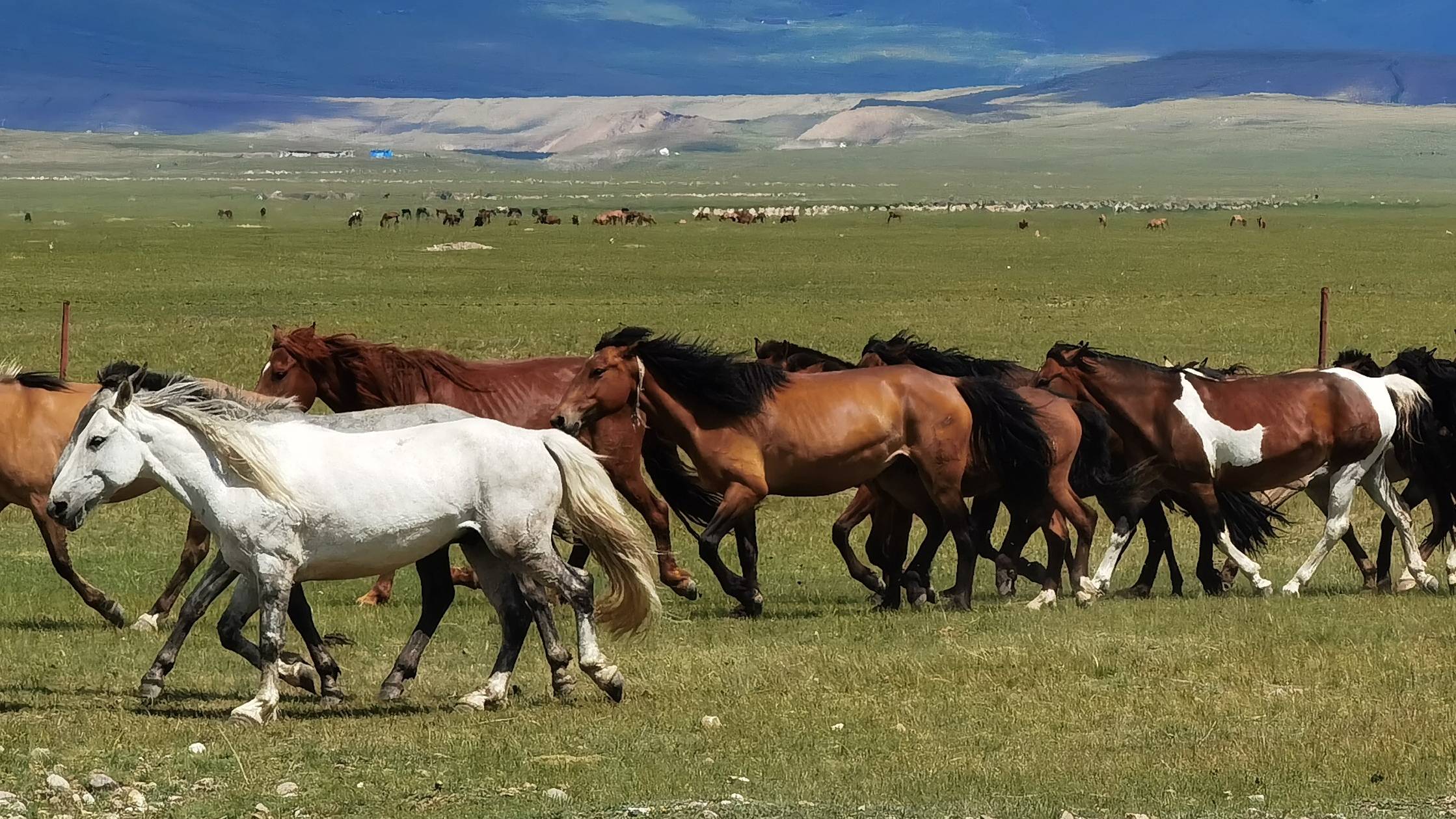 穿行在独库公路南段湖泊雪山草原山谷一路风光无限