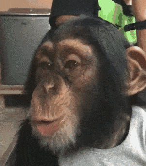 猩猩在耳边说话表情包图片