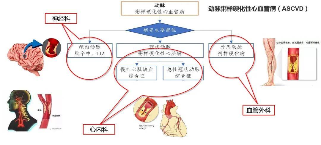 谈医论症 