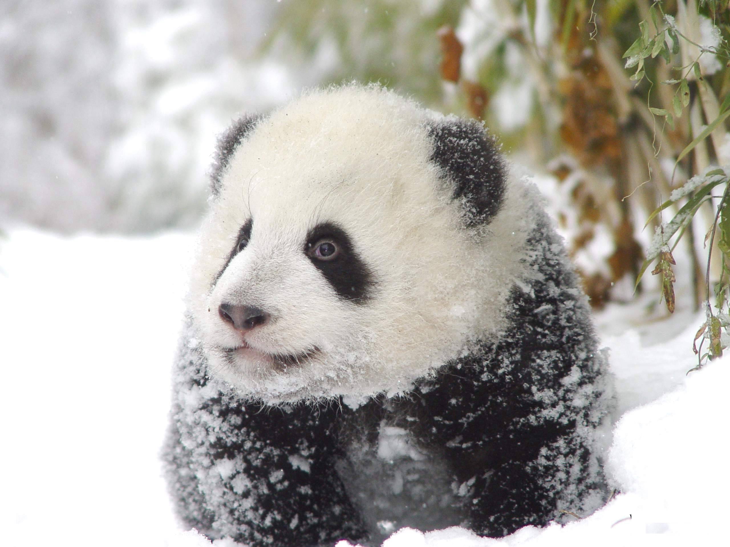 到了年龄才知道:一事无成才是真正的人生_手机搜狐网