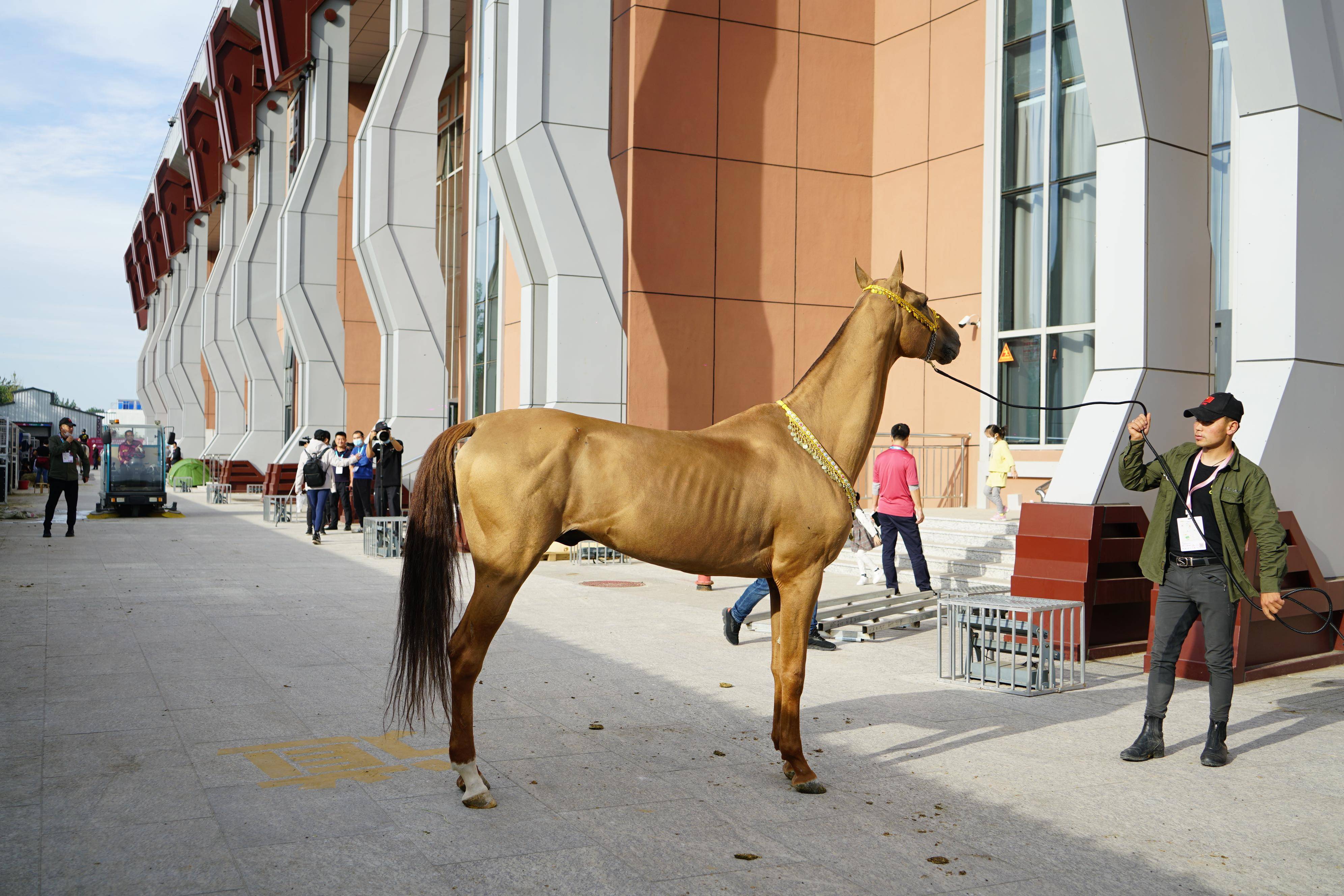 这个国庆河北惊现一座中国马城还留下了汉光武帝刘秀的足迹