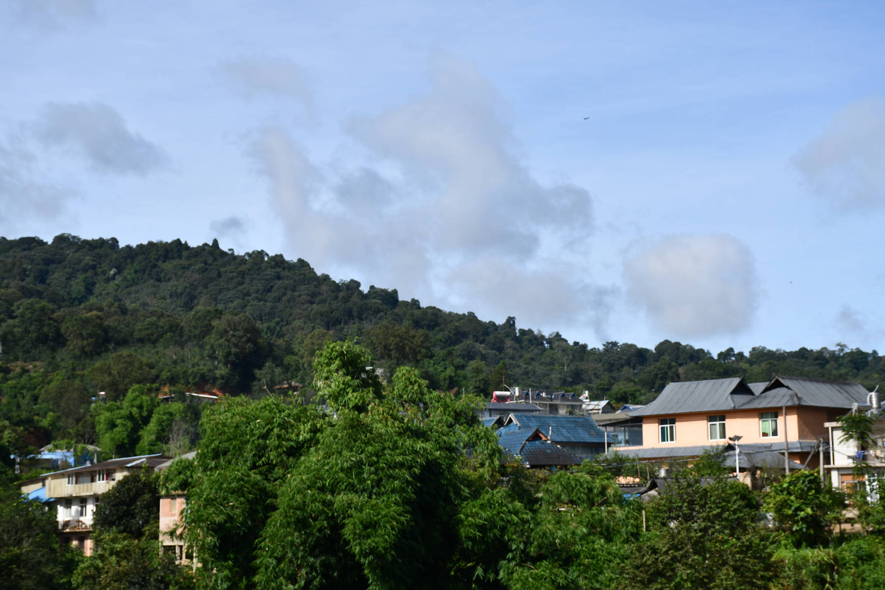 深度寻访茶树王之乡丨南糯山·向阳寨