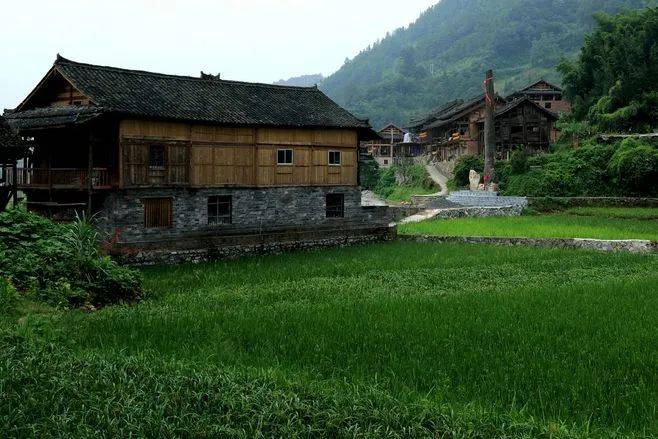 原创五十六民族之水族风情