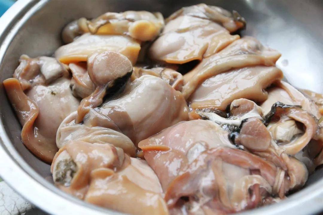 原创坐拥四五百万只河蚌珍珠ceo这么好的河鲜为啥没人吃