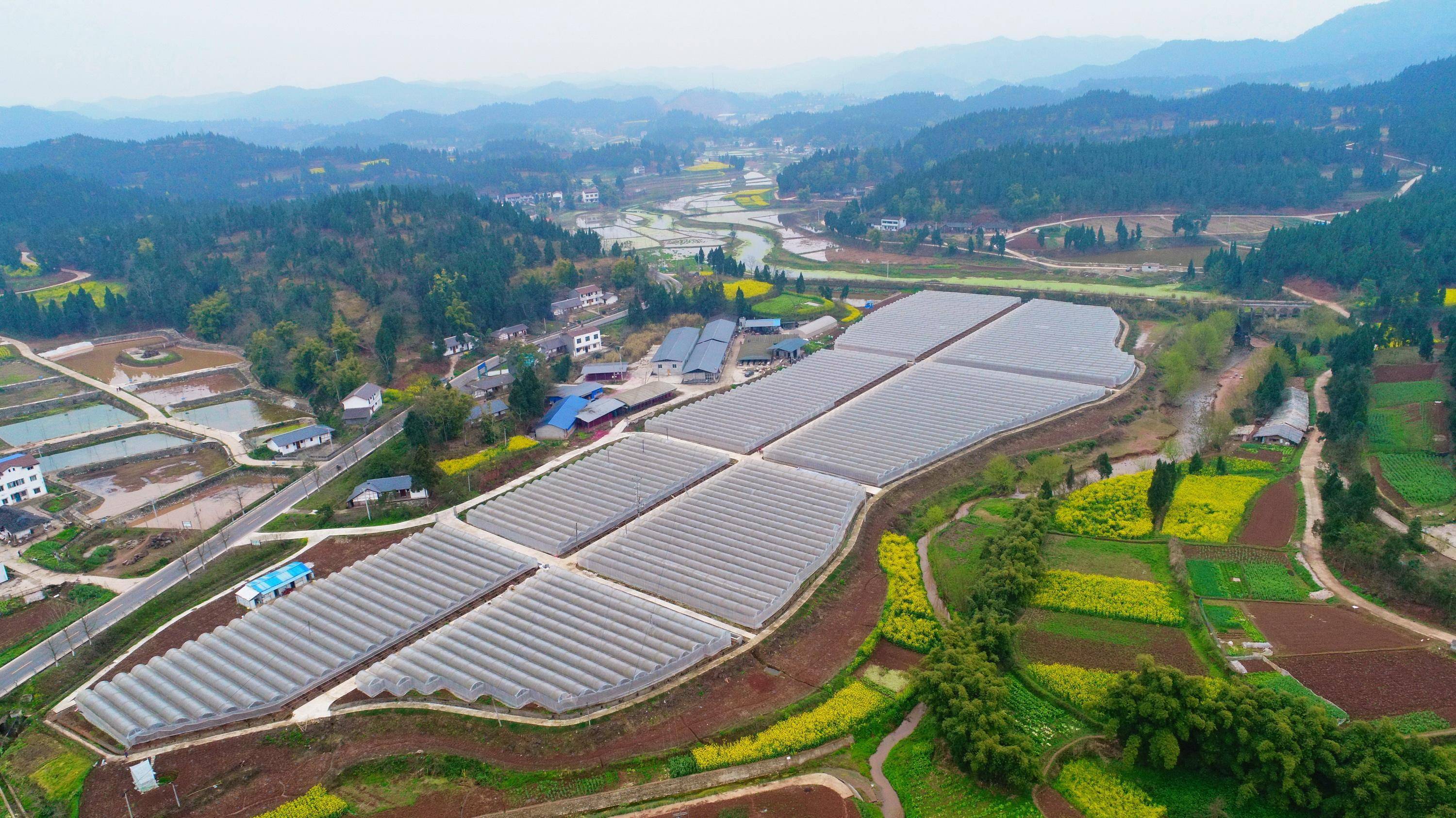 國家對一些合作社,家庭農場,農業公司等主體在資金扶持,用地規劃,項目